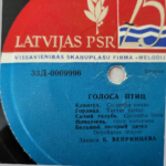 25 Linnuhääled