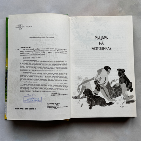 Дневник моей любви: Большая книга романов для девочек