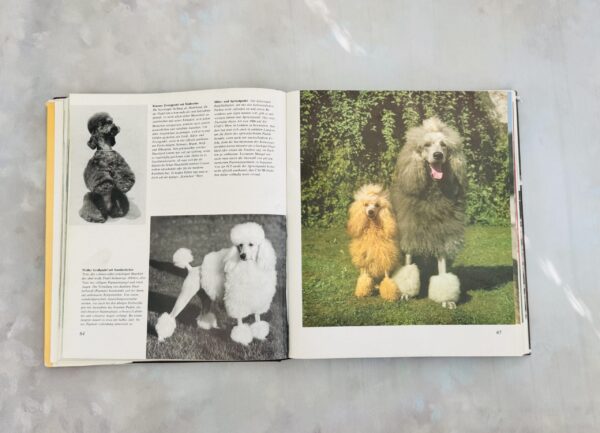 IMG_3213 Das Große Hundebuch