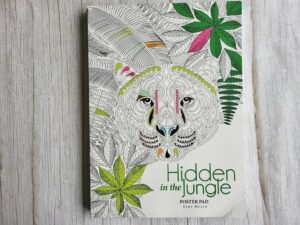 Hidden in the Jungle An Anti-Stress Colouring Värvimisraamat