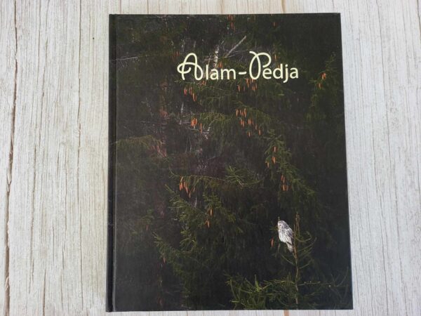 112800196 Alam-Pedja . Arne Ader ja Sven Zacek