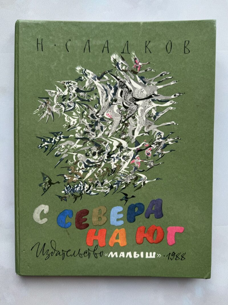 С севера на юг