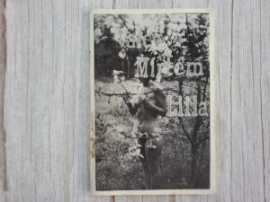 Liilia . Valev Mirtem