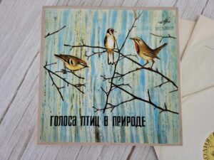 Linnuhääli / Голоса птиц в природе