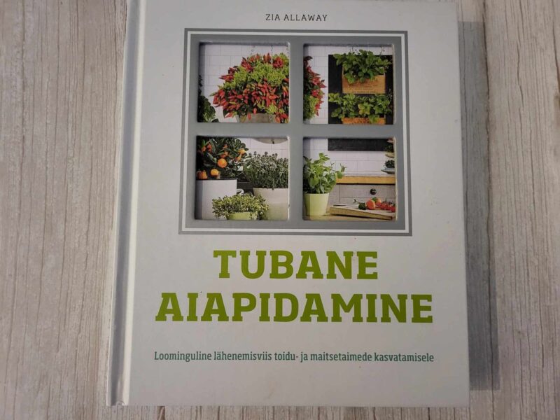 115897780 Tubane aiapidamine . Zia Allaway