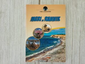 Meri ja rannik . Birgit Kuhn