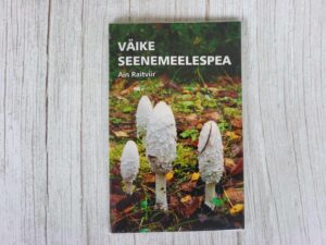 Väike seenemeelespea . Ain Raitviir