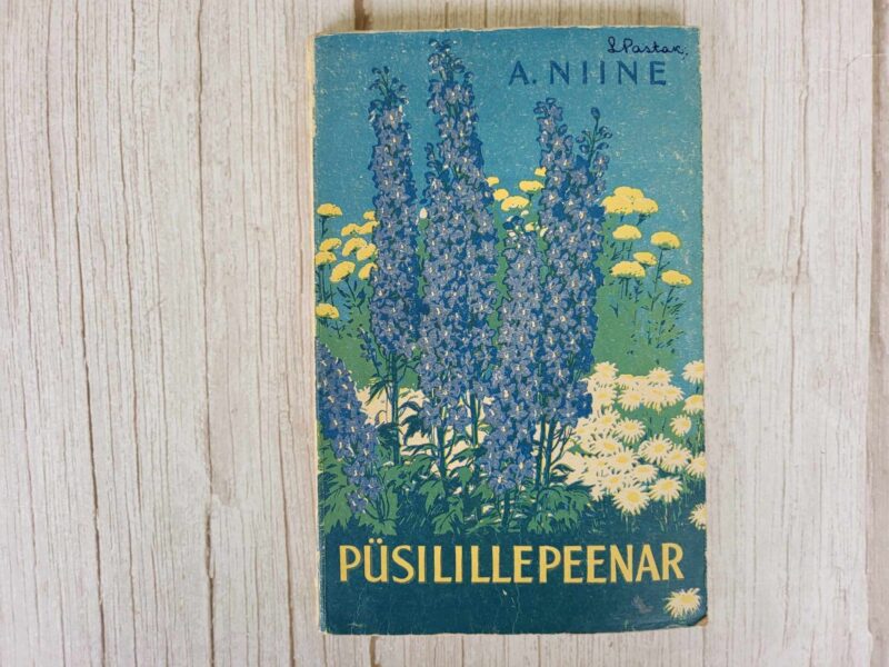 117452159 Püsilillepeenar . Aleksander Niine