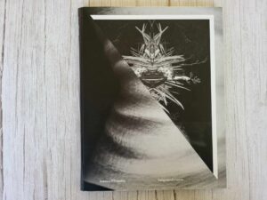 Sulgunud ruum . Joanna Ellmann  kaasas CD