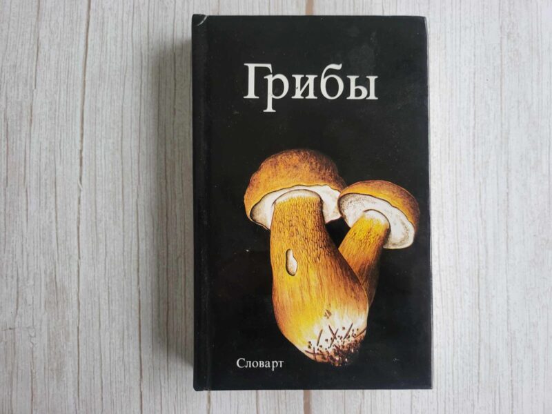 118573396 Книга Грибы