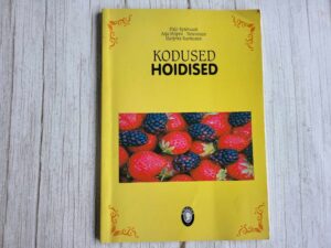 Kodused hoidised