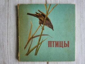 Птицы книжка-раскладка