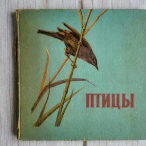 Птицы книжка-раскладка