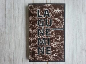 Lagunemine . Andrus Kasemaa
