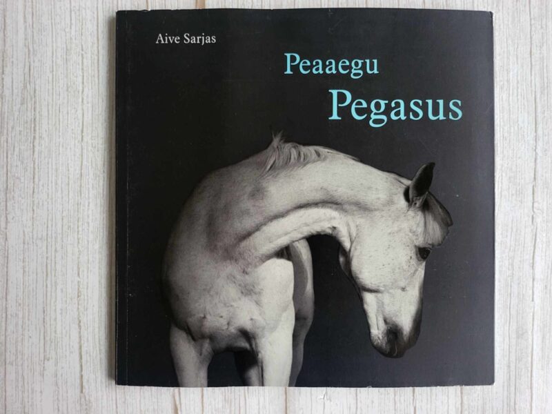 119444825 Peaaegu Pegasus . Aive Sarjas