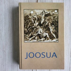 119445822 Joosua . Georg Ebers