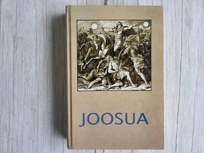 119445822 Joosua . Georg Ebers