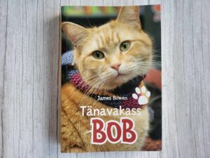 Tänavakass Bob . James Bowen