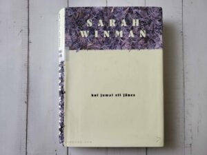 Kui jumal oli jänes . Sarah Winman