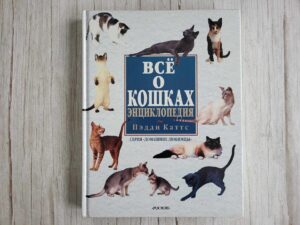 Все о кошках Энциклопедия . Пэдди Каттс