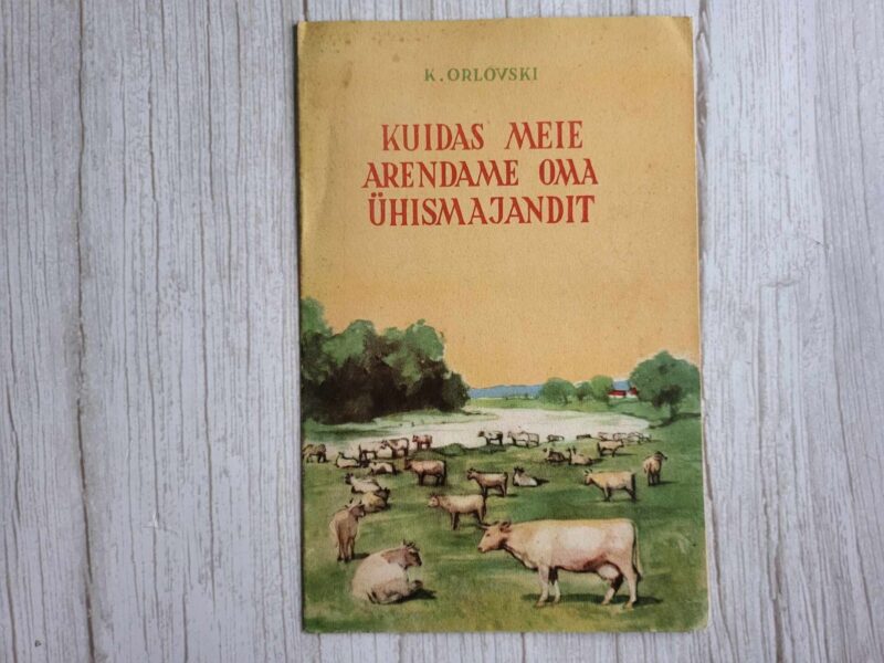 120254471 Kuidas meie arendame oma ühismajandit