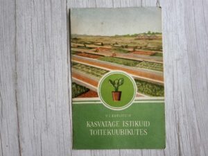 Kasvatage istikuid toitekuubikutes