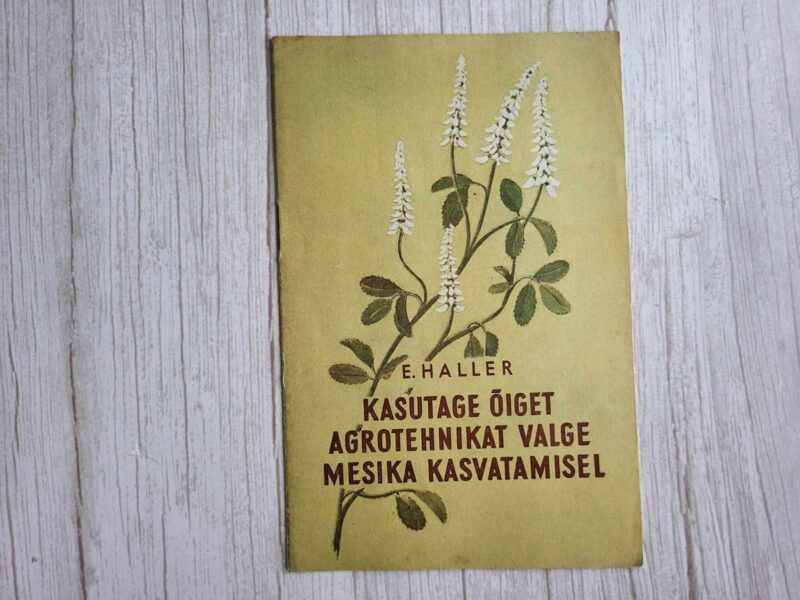 120254712 Kasutage õiget agrotehnikat valge mesika kasvatamisel