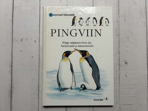Pingviin