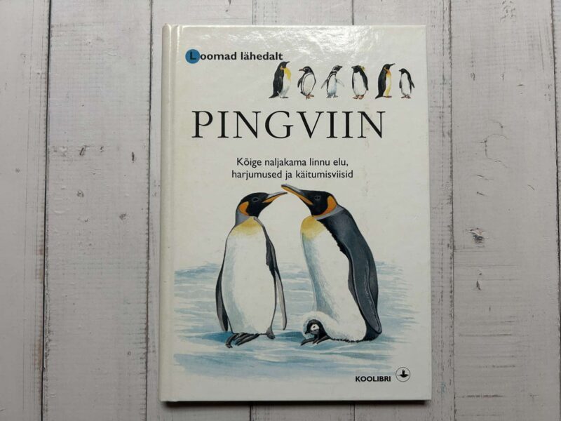 120621576 Pingviin