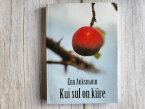 Kui sul on kiire . Enn Auksmann