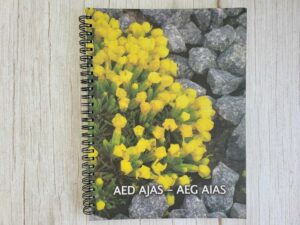 Aed ajas - aeg aias . Arnold Hannust Mihkel Saar