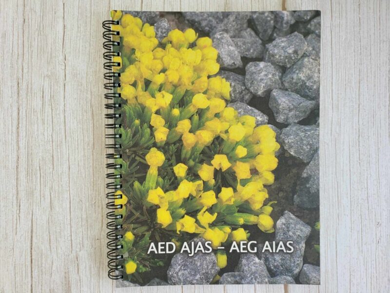 121463592 Aed ajas - aeg aias . Arnold Hannust Mihkel Saar