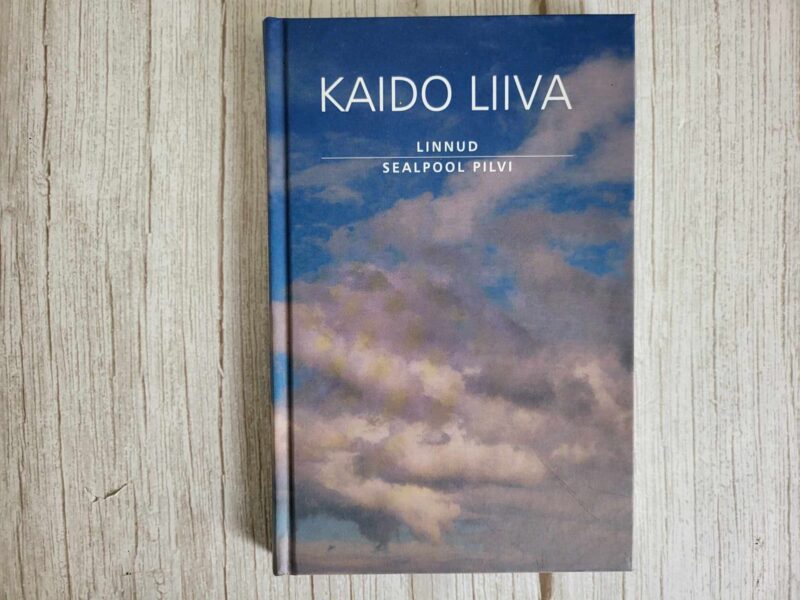 121644707 Linnud sealpool pilvi . Kaido Liiva