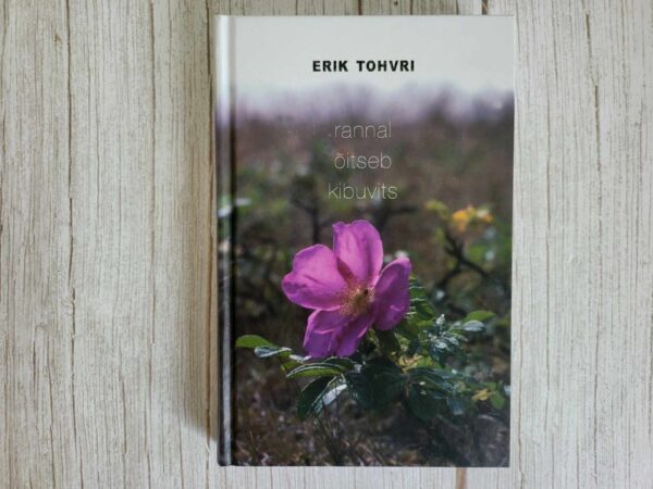 Rannal õitseb kibuvits . Erik Tohvri