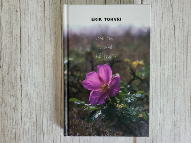 121645422 Rannal õitseb kibuvits . Erik Tohvri