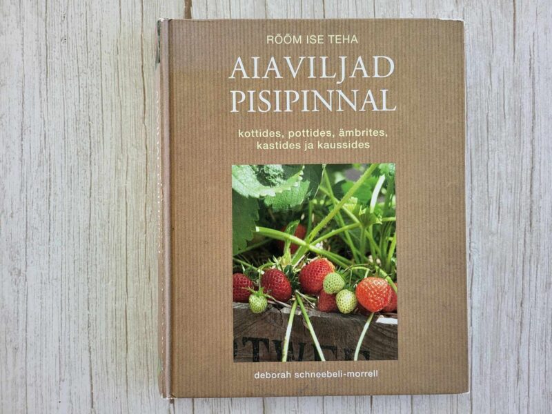 Aiaviljad pisipinnal