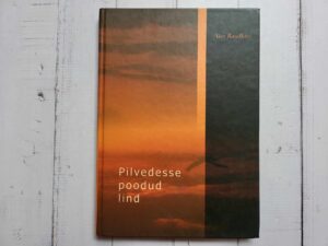 Pilvedesse poodud lind . Aive Raudkivi