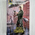 Миссия Сокола . Вячеслав Шалыгин