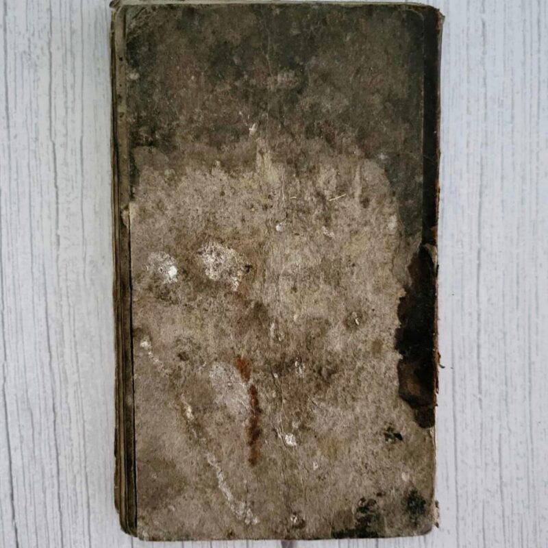 Piibli salmid 1845-4 Piibli salmid 1845