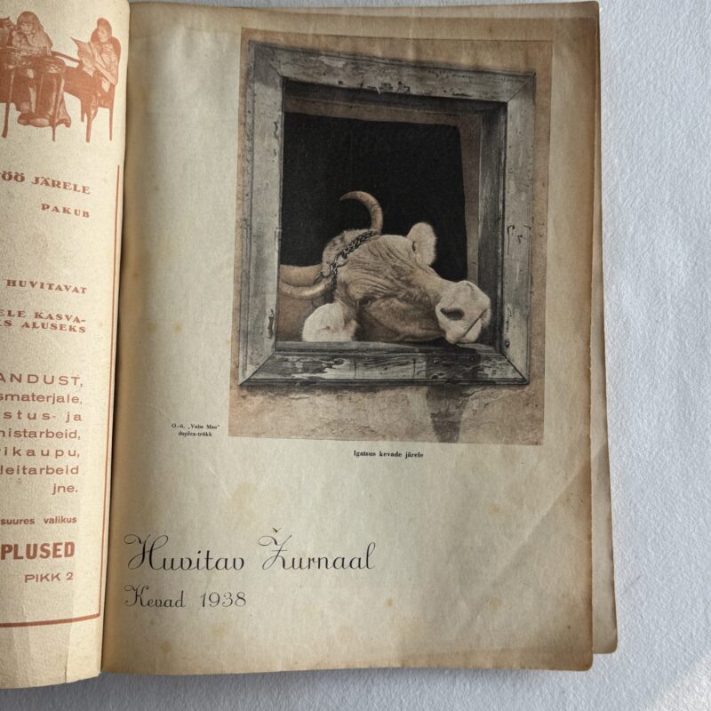 Huvitav Žurnaal – Kevad 1938 sisu fotod Huvitav Žurnaal – Kevad 1938