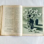 IMG_8246 Huvitav Žurnaal – Suvi 1938, illustreeritud Eesti ajakiri