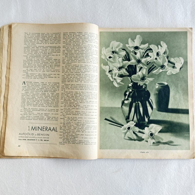 IMG_8246 Huvitav Žurnaal – Suvi 1938, illustreeritud Eesti ajakiri