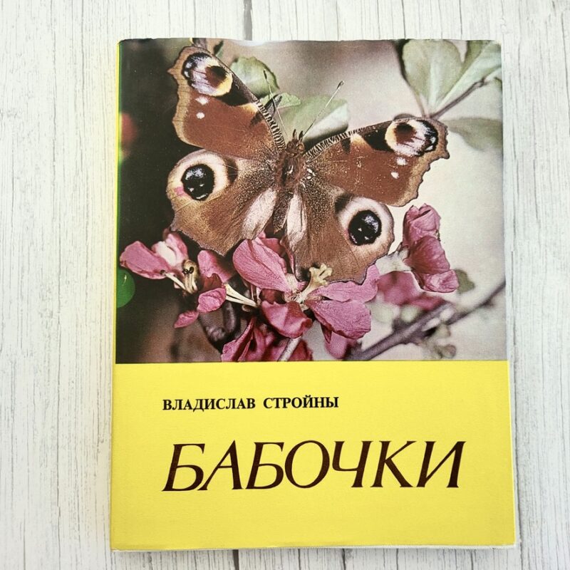 Бабочки – Владислав Стройны