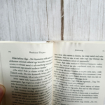 136 Jõuluturg – RaeAnne Thayne