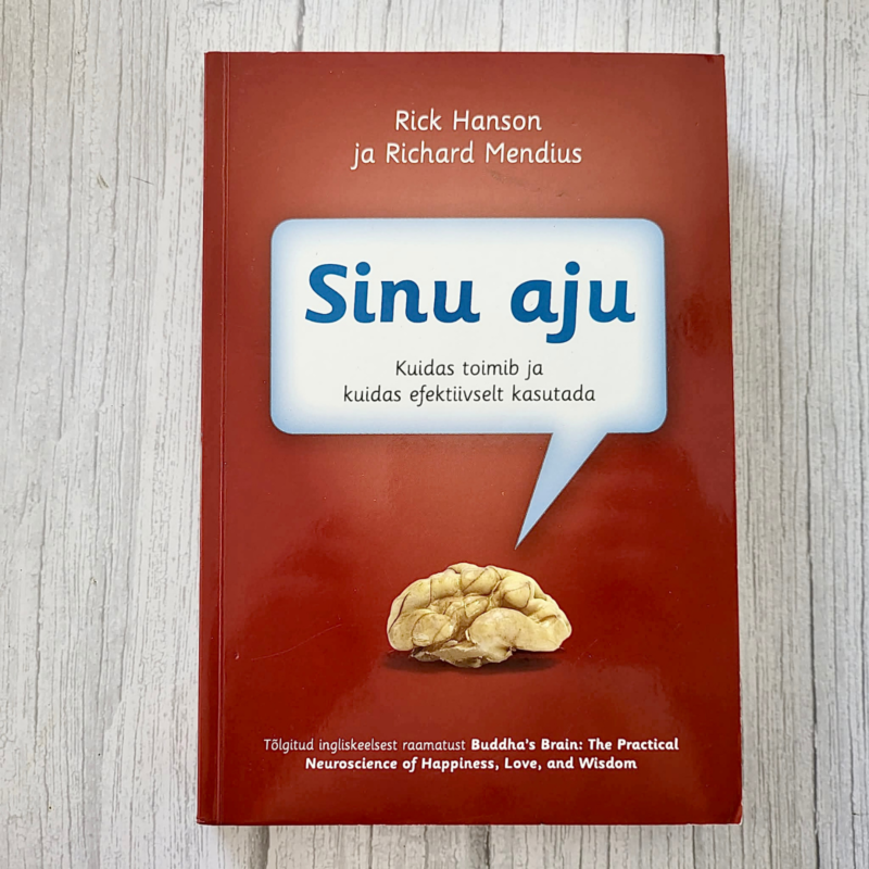 sinu-aju-rick-hanson-richard-mendius Sinu aju – Rick Hanson ja Richard Mendius